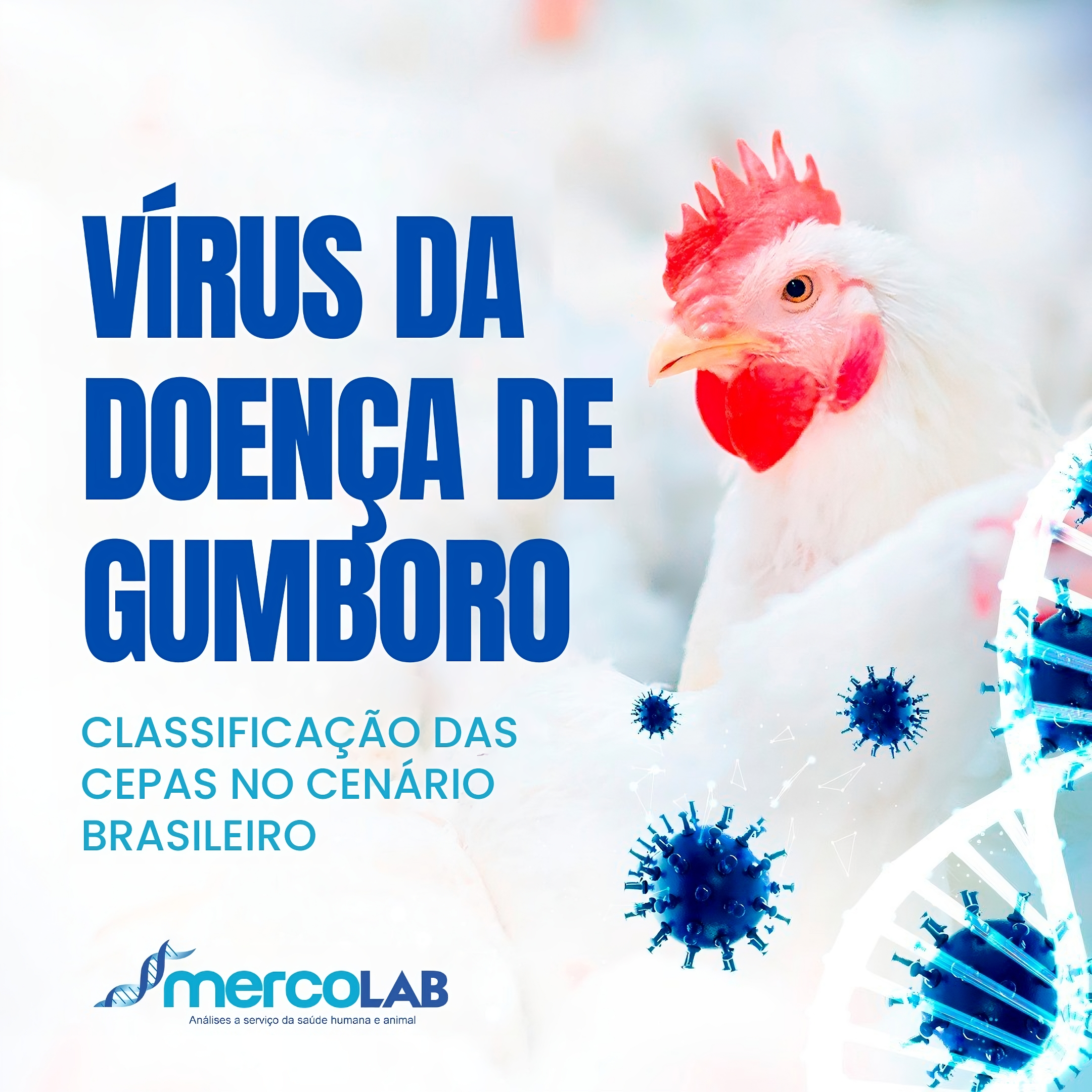 Vírus da Doença de Gumboro: classificação das cepas no cenário brasileiro