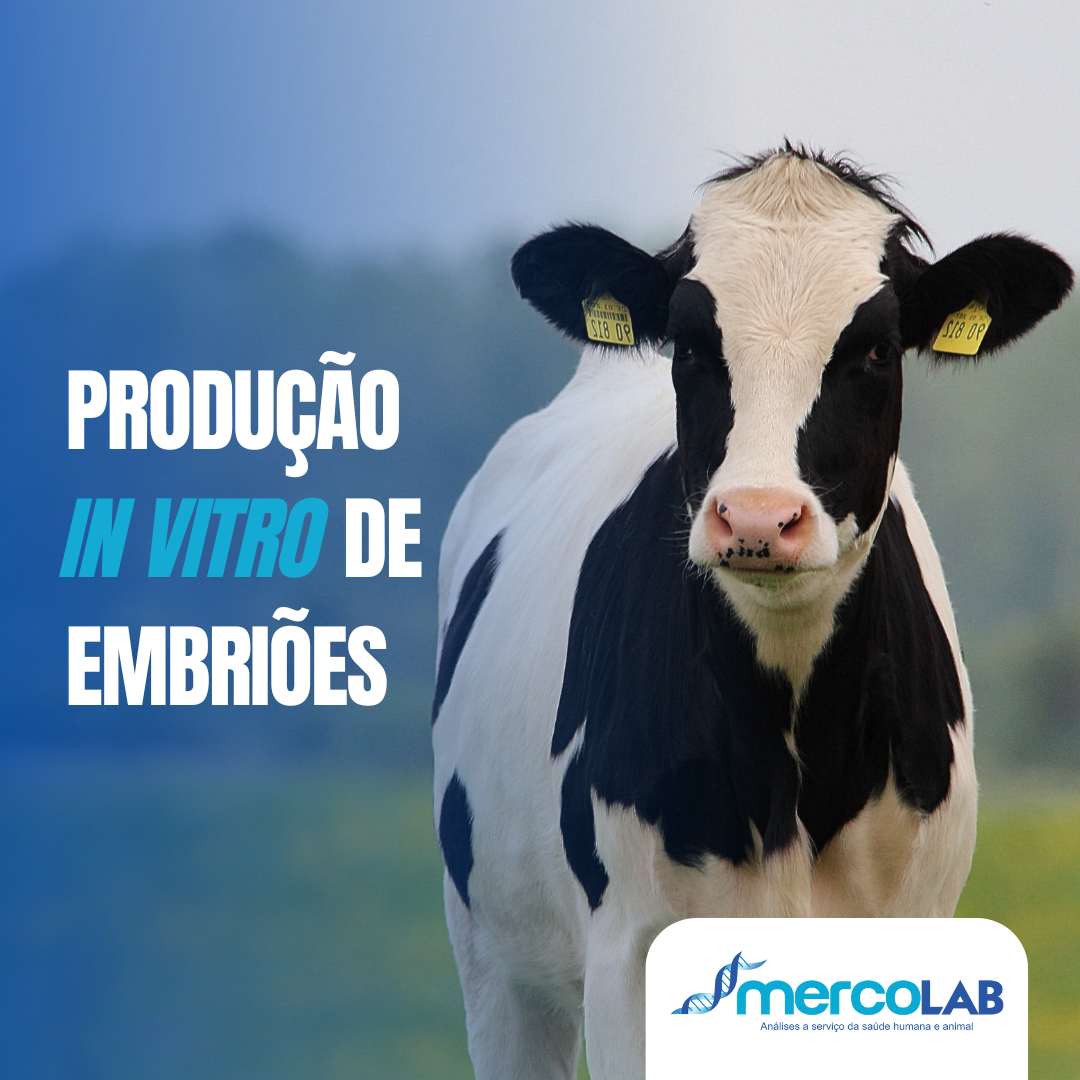 Revolucione a Pecuária com Nosso Novo Serviço de Produção In Vitro de Embriões(PIVE)